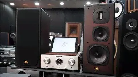 Marantz HD-AMP1 + Castle Acoustic Avon2