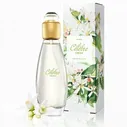 Туалетная вода Avon Celebre Fresh для нее, 50 мл