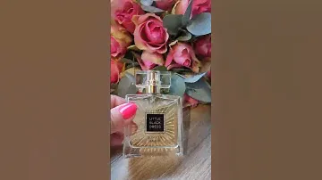 Little Black Dress Summer Party - новинка каталога липня