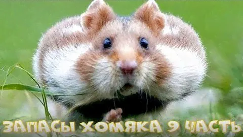 ❤️МОИ ЗАПАСЫ❤️ЧАСТЬ 9❤️УХОД ЗА ТЕЛОМ❤️СКРАБЫ, ЛОСЬОНЫ, СПРЕИ, КРЕМА И МНОГОЕ ДРУГОЕ