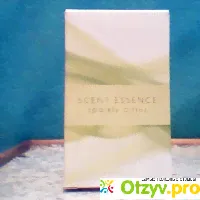 ТУАЛЕТНАЯ ВОДА AVON SCENT ESSENCE SPARKLY CITRUS отзывы - развод или правда? - отзыв