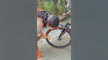 my new bicycle